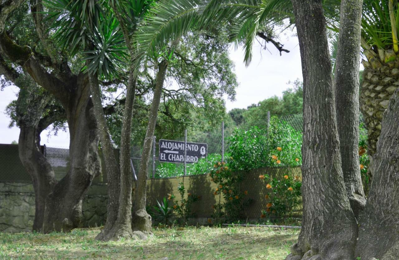 Alojamiento El Chaparro Barbate Junto A La Venta El Loro Exterior foto